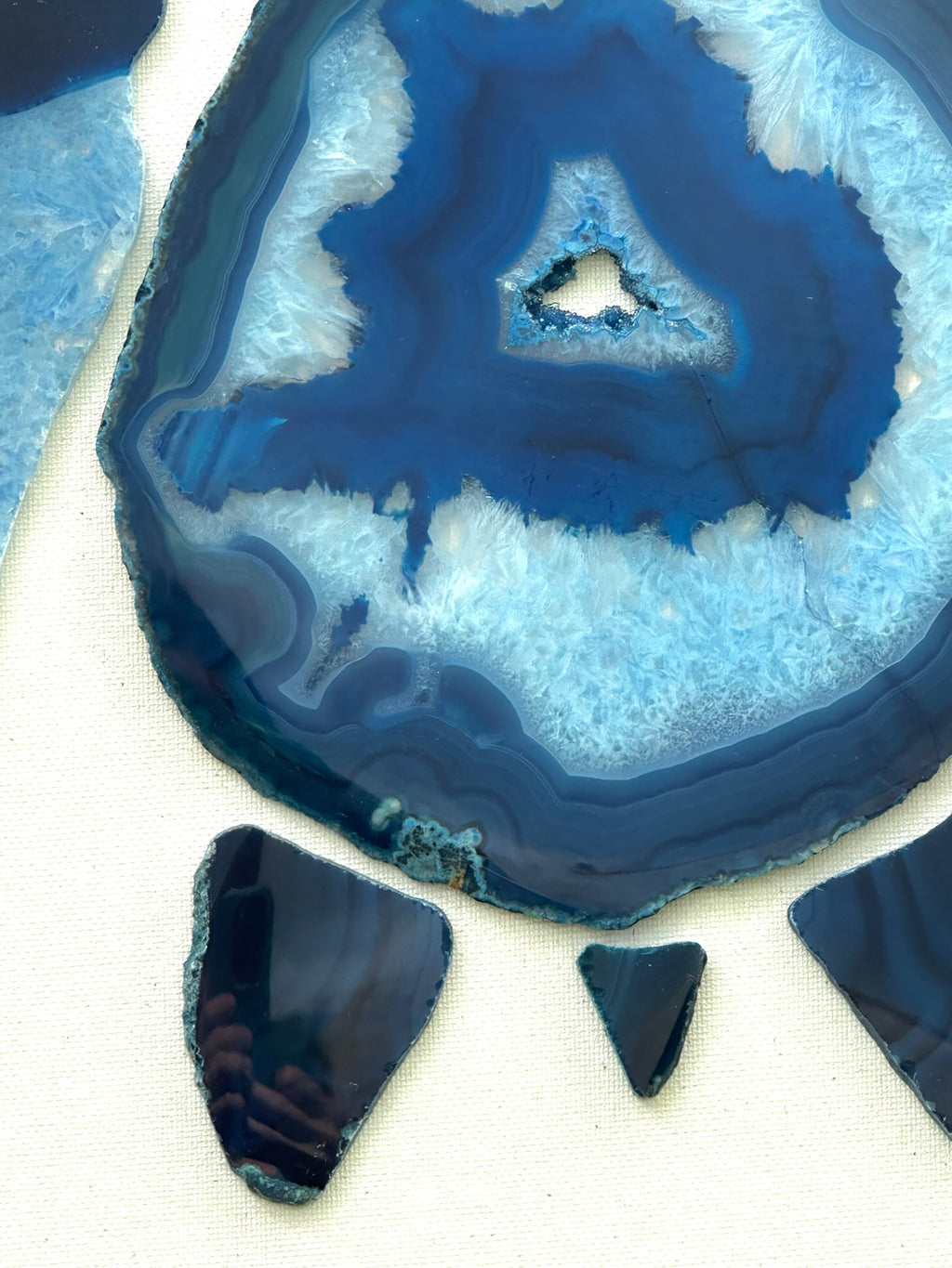 "Love of Honu"