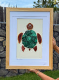 "Honu of Paradise"