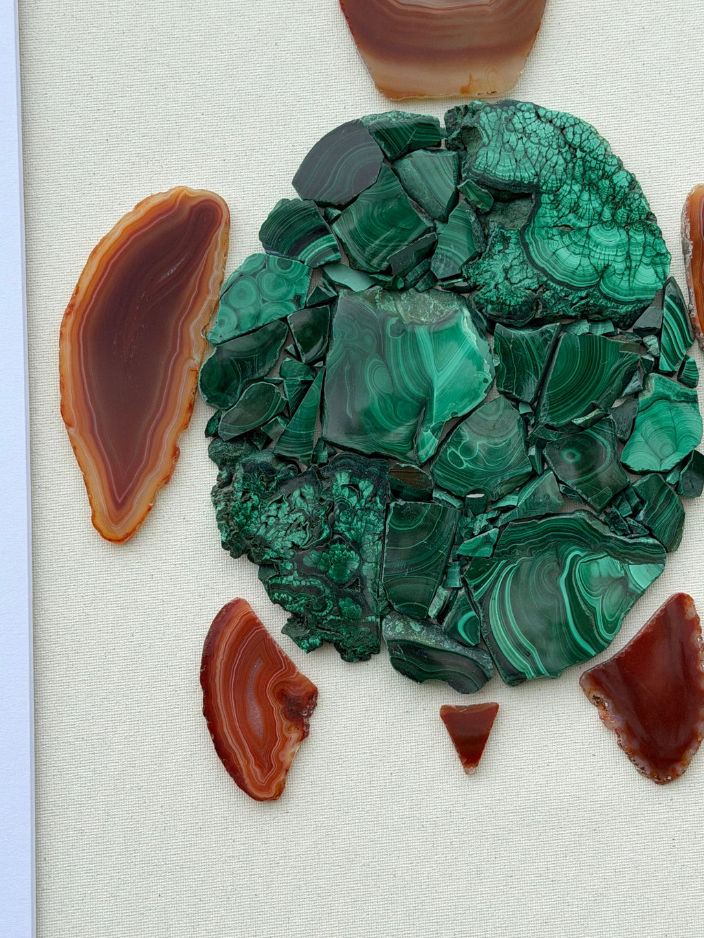 "Honu of Paradise"